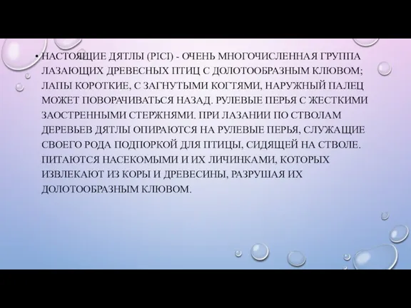 НАСТОЯЩИЕ ДЯТЛЫ (PICI) - ОЧЕНЬ МНОГОЧИСЛЕННАЯ ГРУППА ЛАЗАЮЩИХ ДРЕВЕСНЫХ ПТИЦ