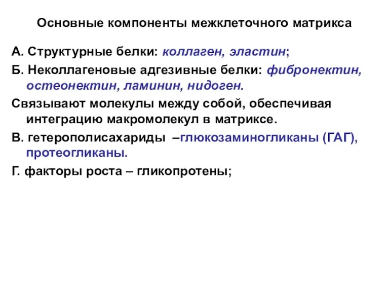 Основные компоненты межклеточного матрикса А. Структурные белки: коллаген, эластин; Б.