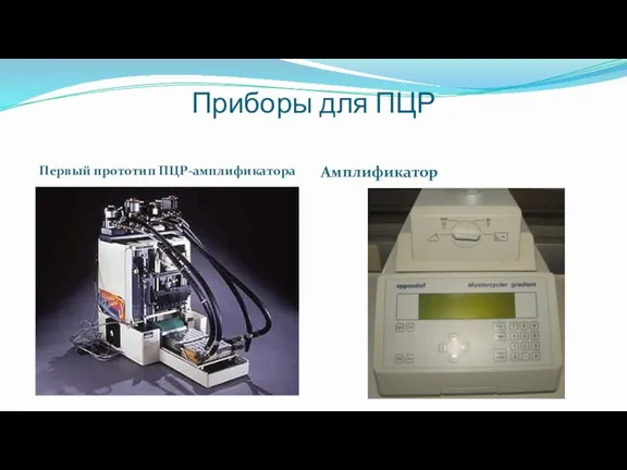 Приборы для ПЦР Первый прототип ПЦР-амплификатора Амплификатор