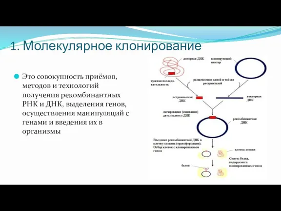 1. Молекулярное клонирование Это совокупность приёмов, методов и технологий получения