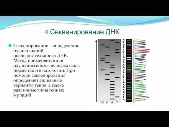 4.Секвенирование ДНК Секвенирование – определение нуклеотидной последовательности ДНК. Метод применяется