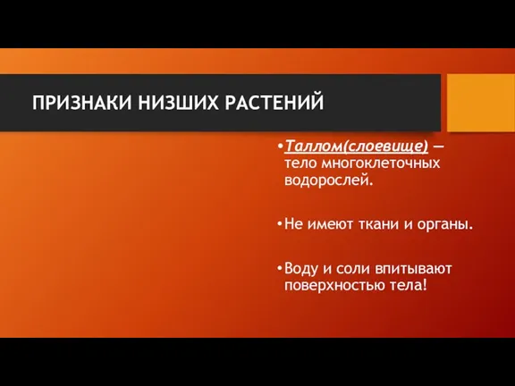 ПРИЗНАКИ НИЗШИХ РАСТЕНИЙ Таллом(слоевище) — тело многоклеточных водорослей. Не имеют