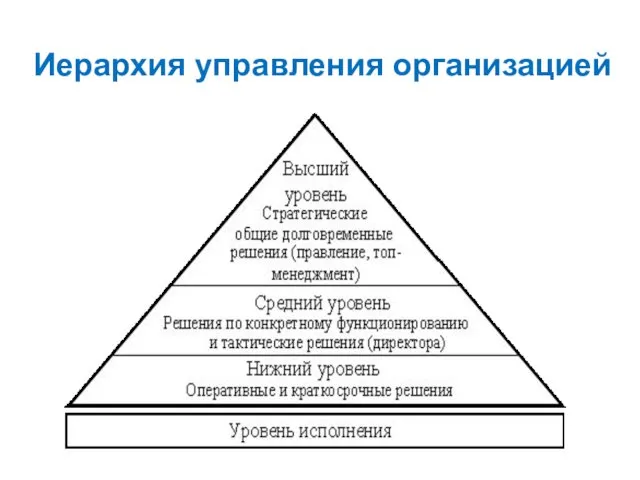 Иерархия управления организацией