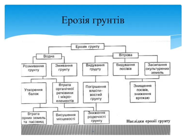 Ерозія грунтів