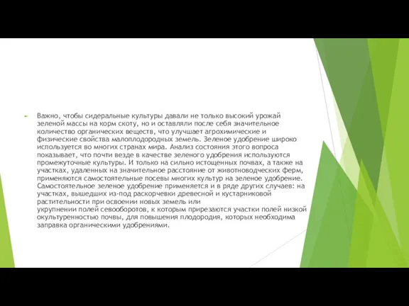 Важно, чтобы сидеральные культуры давали не только высокий урожай зеленой