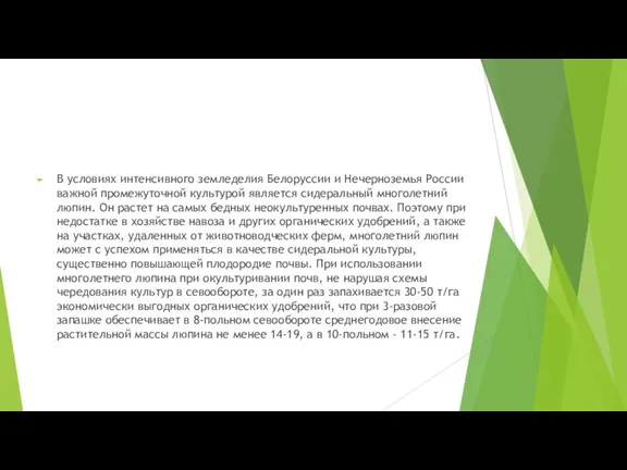 В условиях интенсивного земледелия Белоруссии и Нечерноземья России важной промежуточной