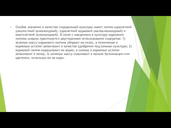 Особое значение в качестве сидеральной культуры имеет люпин однолетний узколистный