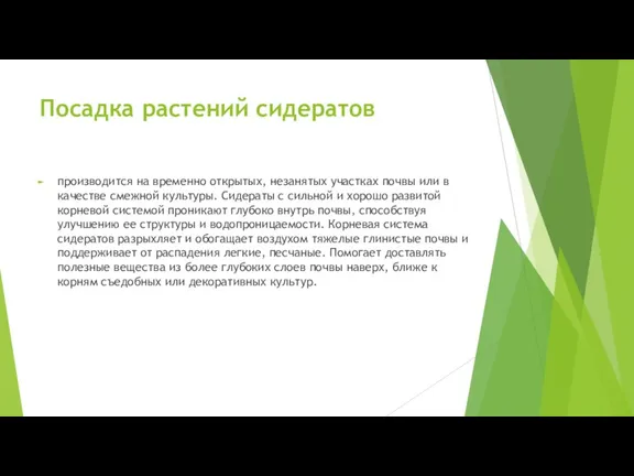 Посадка растений сидератов производится на временно открытых, незанятых участках почвы