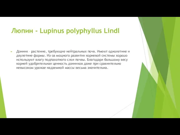 Люпин - Lupinus polyphyllus Lindl Донник – растение, требующие нейтральных