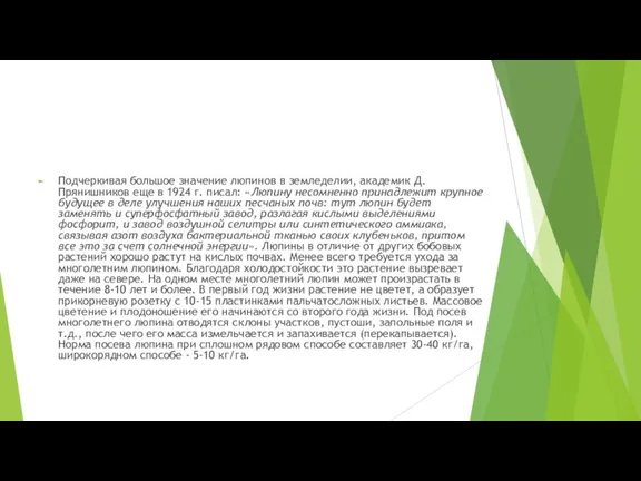 Подчеркивая большое значение люпинов в земледелии, академик Д. Прянишников еще