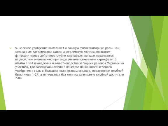 5. Зеленое удобрение выполняет и важную фитосанитарную роль. Так, запаханная