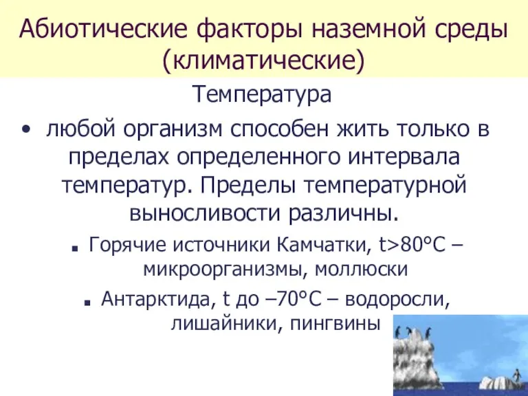 Абиотические факторы наземной среды (климатические) Температура любой организм способен жить