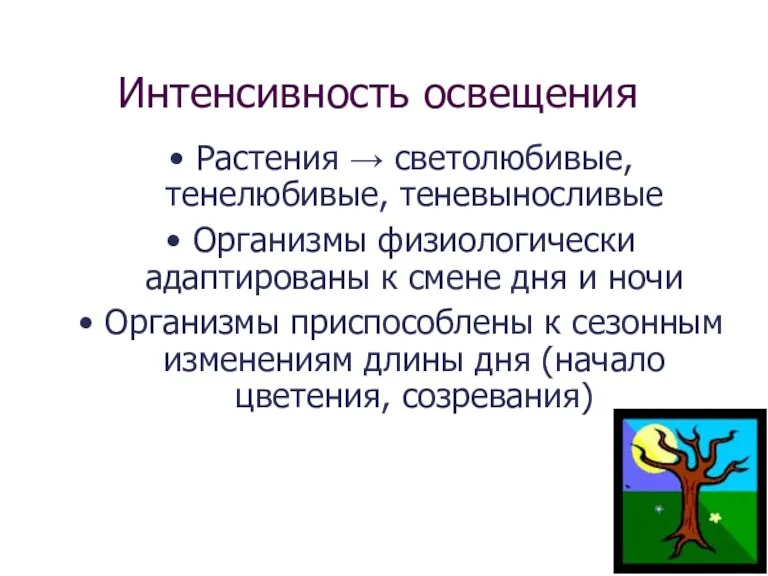 Интенсивность освещения Растения → светолюбивые, тенелюбивые, теневыносливые Организмы физиологически адаптированы