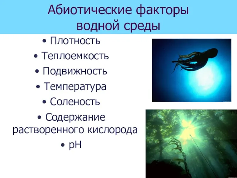 Абиотические факторы водной среды Плотность Теплоемкость Подвижность Температура Соленость Содержание растворенного кислорода рН