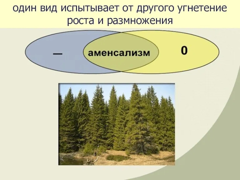 один вид испытывает от другого угнетение роста и размножения