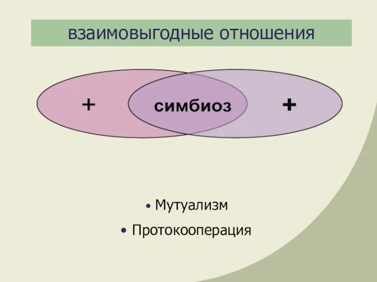 взаимовыгодные отношения Мутуализм Протокооперация