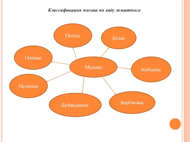 Молоко Козье Овечье Кобылье Верблюжье Оленье Ослиное Буйволиное Классификация молока по виду животного