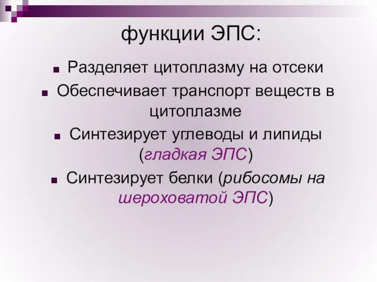 функции ЭПС: Разделяет цитоплазму на отсеки Обеспечивает транспорт веществ в