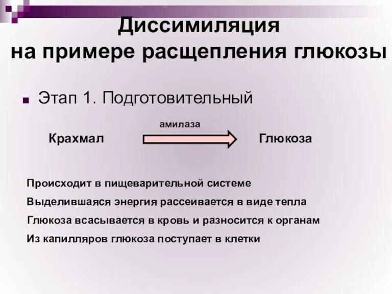 Диссимиляция на примере расщепления глюкозы Этап 1. Подготовительный Крахмал Глюкоза