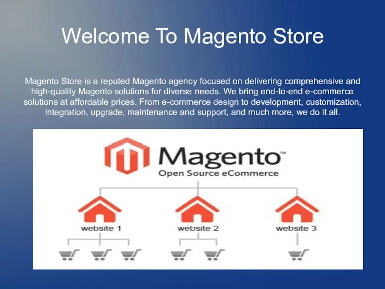 Welcome To Magento Store