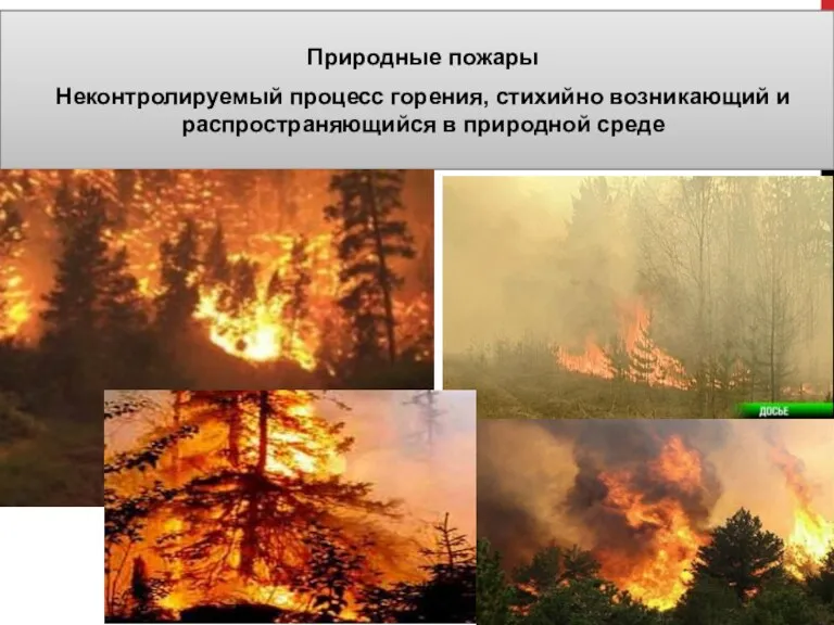 Природные пожары Неконтролируемый процесс горения, стихийно возникающий и распространяющийся в природной среде