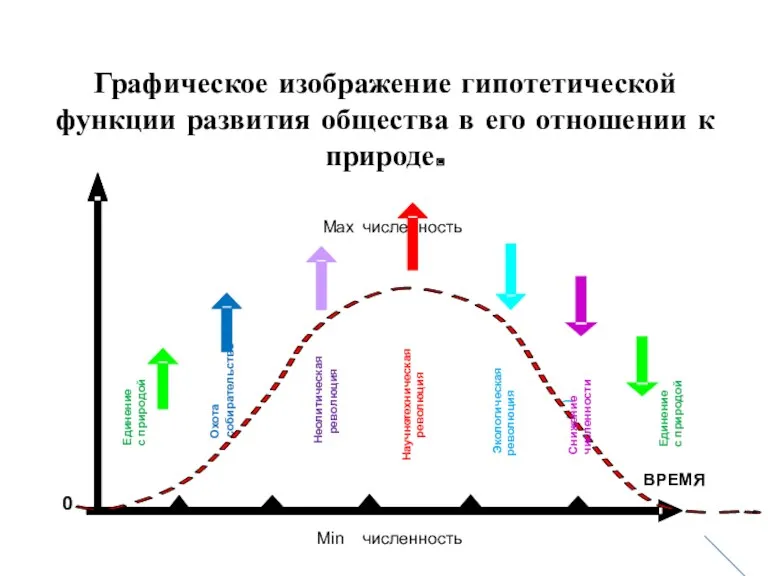 Графическое изображение гипотетической функции развития общества в его отношении к