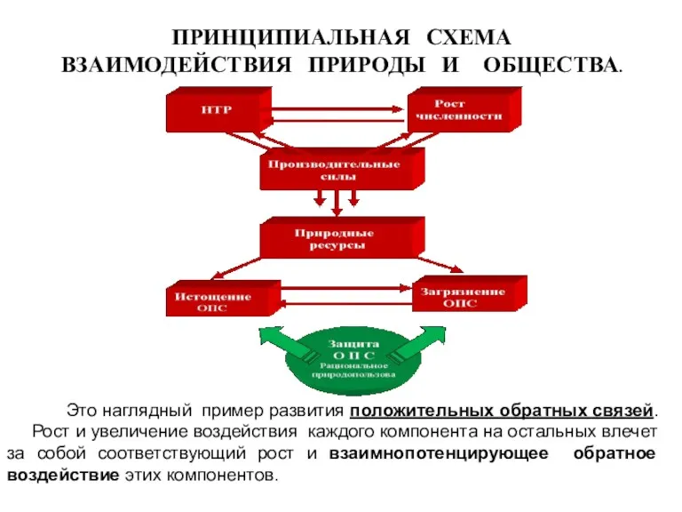 ПРИНЦИПИАЛЬНАЯ СХЕМА ВЗАИМОДЕЙСТВИЯ ПРИРОДЫ И ОБЩЕСТВА. Это наглядный пример развития