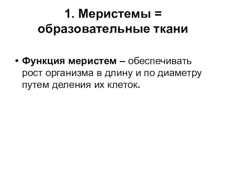 1. Меристемы = образовательные ткани Функция меристем – обеспечивать рост