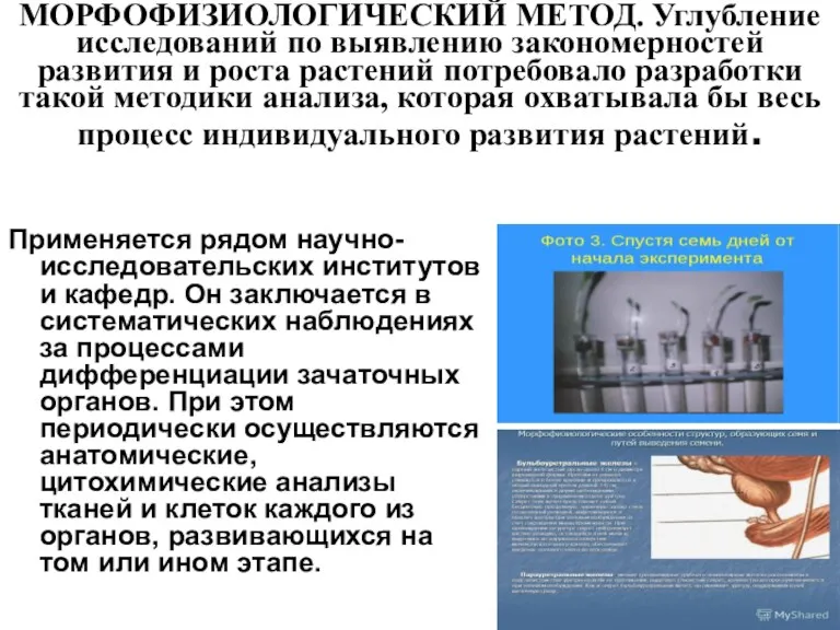 МОРФОФИЗИОЛОГИЧЕСКИЙ МЕТОД. Углубление исследований по выявлению закономерностей развития и роста