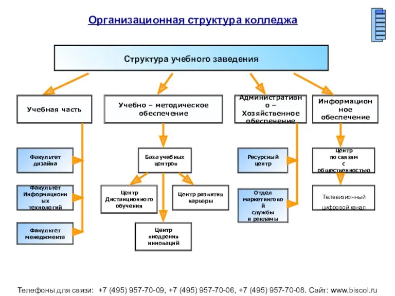 Структура учебного заведения Организационная структура колледжа Телефоны для связи: +7