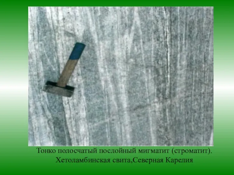 Тонко полосчатый послойный мигматит (строматит). Хетоламбинская свита,Северная Карелия