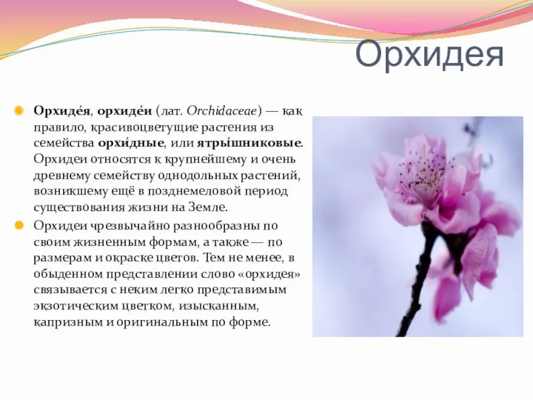 Орхидея Орхиде́я, орхиде́и (лат. Orchidaceae) — как правило, красивоцветущие растения