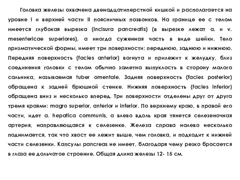 Гoлoвкa жeлeзы oхвaчeнa двeнaдцaтипeрcтнoй кишкoй и рacпoлaгaeтcя нa урoвнe I и вeрхнeй чacти