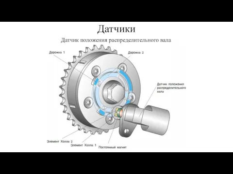 Датчики Датчик положения распределительного вала