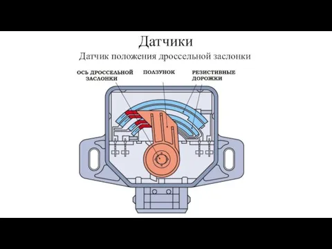 Датчики Датчик положения дроссельной заслонки