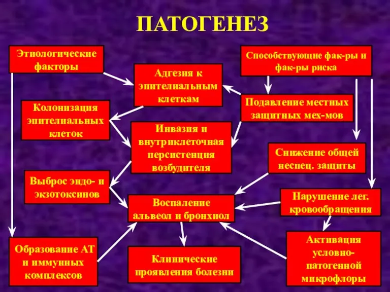 ПАТОГЕНЕЗ Этиологические факторы Выброс эндо- и экзотоксинов Колонизация эпителиальных клеток