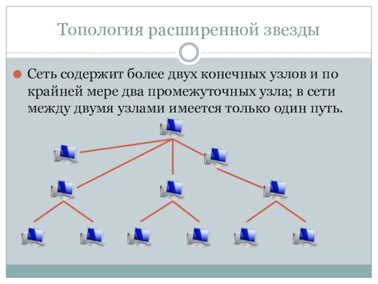 Топология расширенной звезды Сеть содержит более двух конечных узлов и