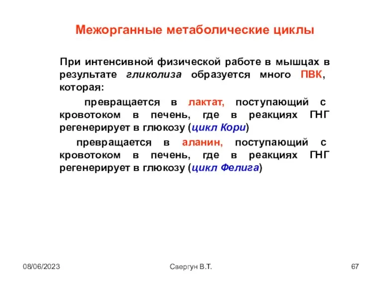 08/06/2023 Свергун В.Т. Межорганные метаболические циклы При интенсивной физической работе