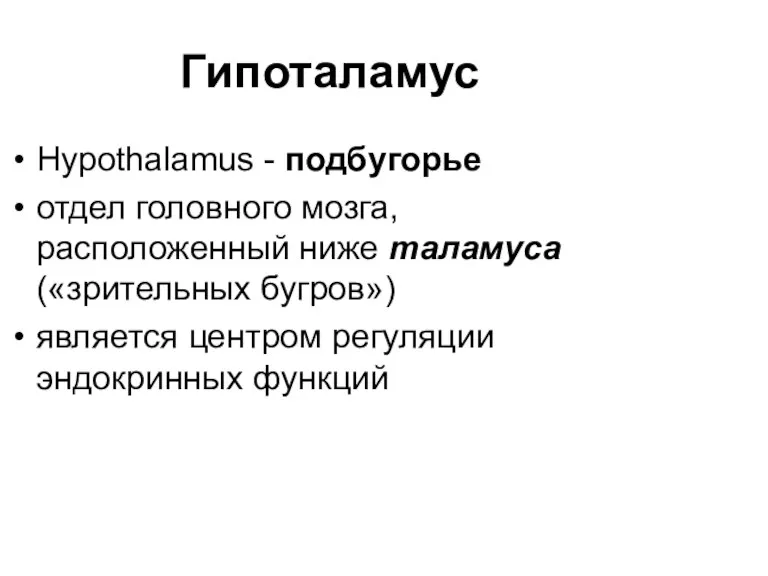 Гипоталамус Hypothalamus - подбугорье отдел головного мозга, расположенный ниже таламуса