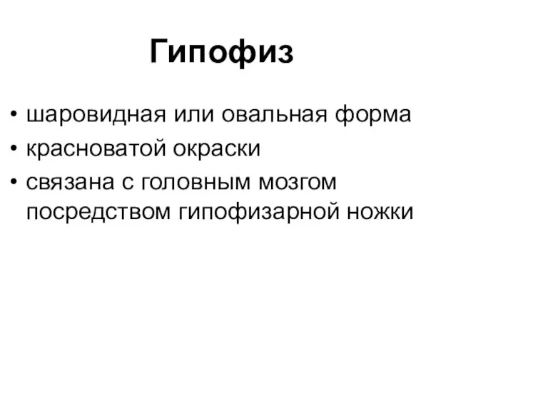 Гипофиз шаровидная или овальная форма красноватой окраски связана с головным мозгом посредством гипофизарной ножки