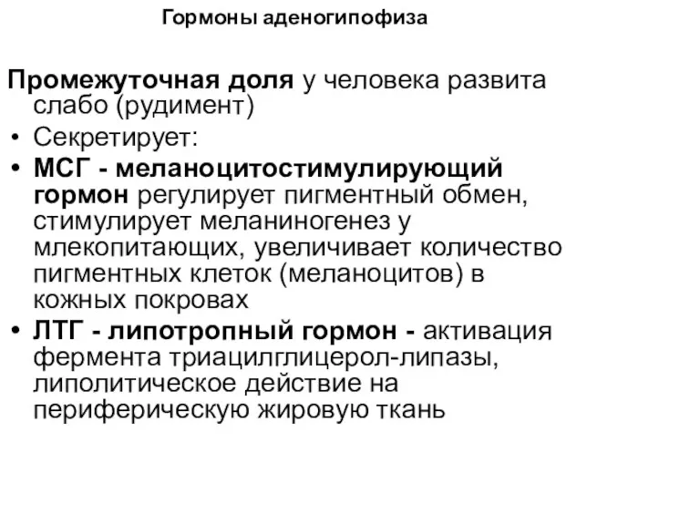 Гормоны аденогипофиза Промежуточная доля у человека развита слабо (рудимент) Секретирует: МСГ - меланоцитостимулирующий