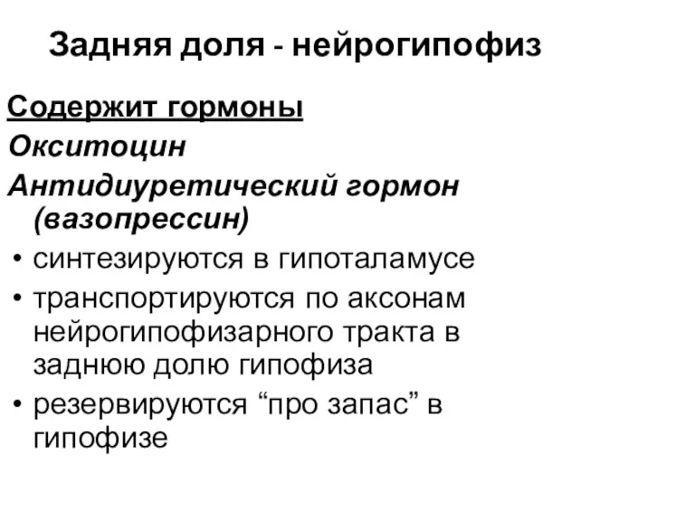 Задняя доля - нейрогипофиз Содержит гормоны Окситоцин Антидиуретический гормон (вазопрессин) синтезируются в гипоталамусе