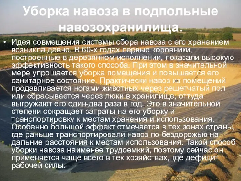 Уборка навоза в подпольные навозохранилища. Идея совмещения системы сбора навоза