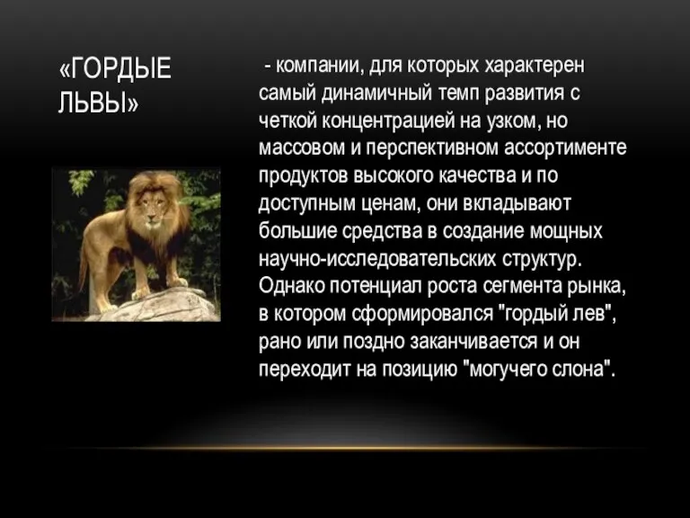 «ГОРДЫЕ ЛЬВЫ» - компании, для которых характерен самый динамичный темп