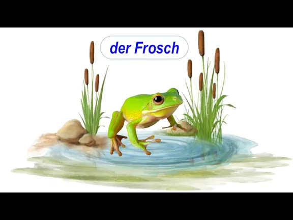 der Frosch
