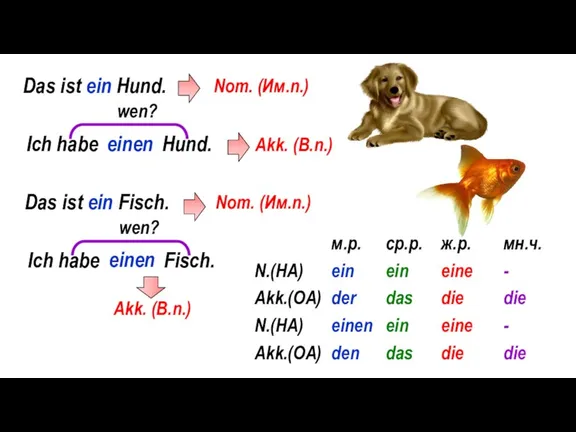 Das ist ein Hund. Nom. (Им.п.) Ich habe Hund. Akk. (В.п.) wen? einen