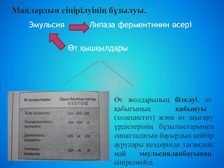 Эмульсия Липаза ферментинин әсері Өт қышқылдары Майлардың сіңірілуінің бұзылуы. Өт