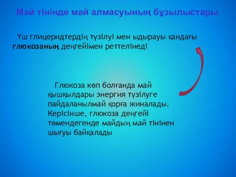 Май тінінде май алмасуының бұзылыстары Үш глицеридтердің түзілуі мен ыдырауы