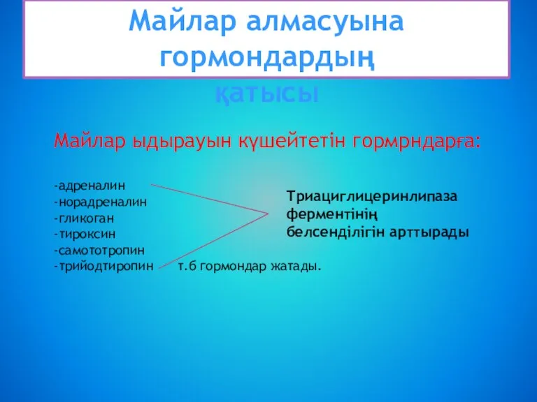 Майлар алмасуына гормондардың қатысы Майлар ыдырауын күшейтетін гормрндарға: -адреналин -норадреналин