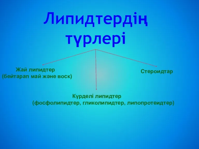 Липидтердің түрлері Жай липидтер (бейтарап май және воск) Күрделі липидтер (фосфолипидтер, гликолипидтер, липопротеидтер) Стероидтар